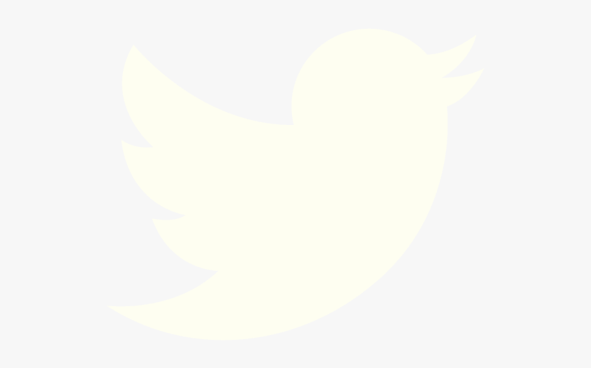 Social Media Icons-02 - Transparent Twitter White Png, Png Download