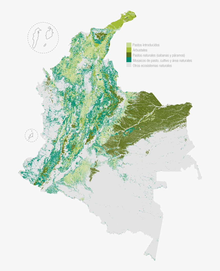 Recursos Ganaderos De Colombia, HD Png Download
