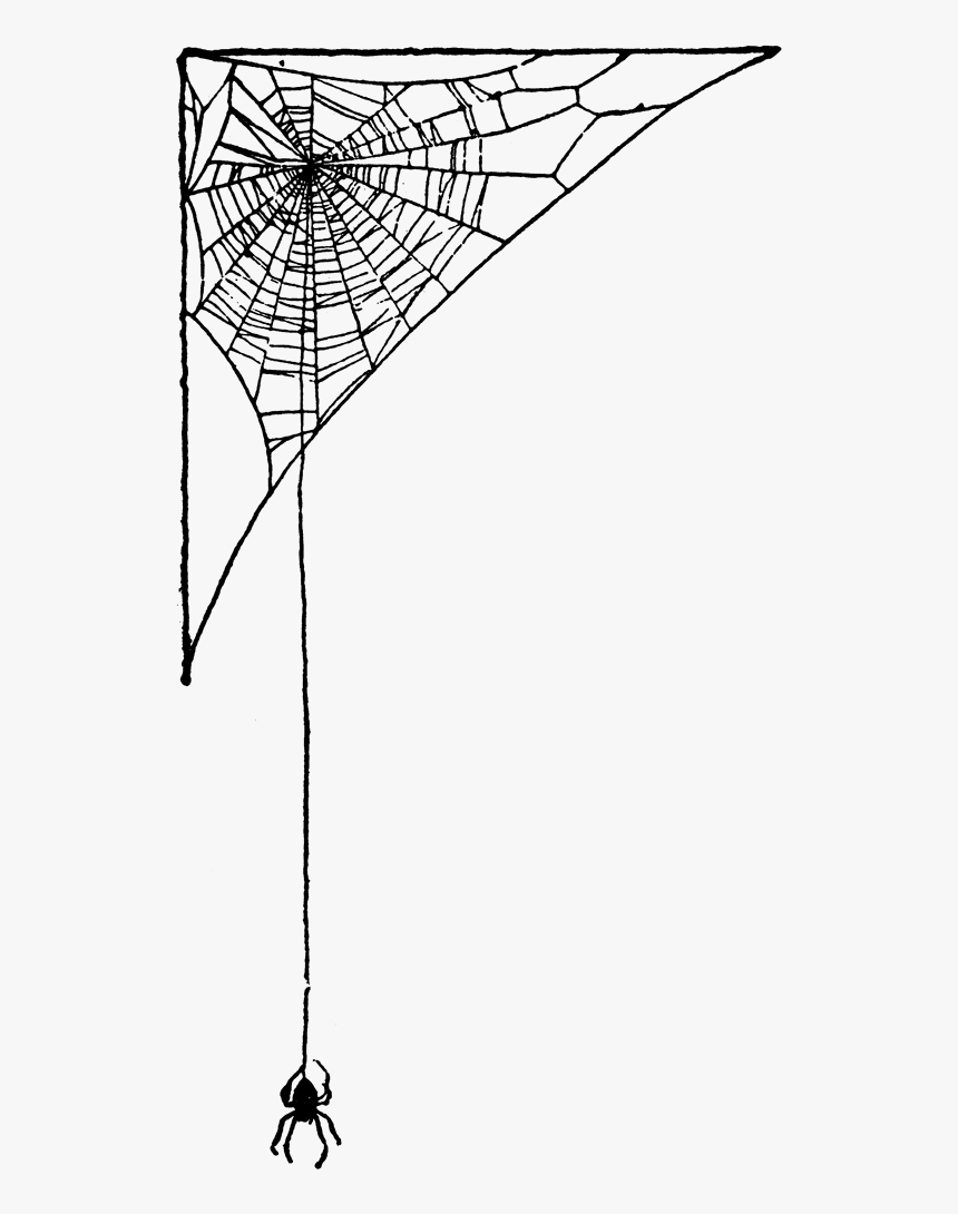 Streetball, HD Png Download