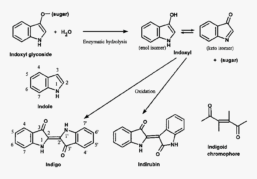 Bis Ethylhexyloxyphenol Methoxyphenyl Triazine Absorbance, HD Png Download