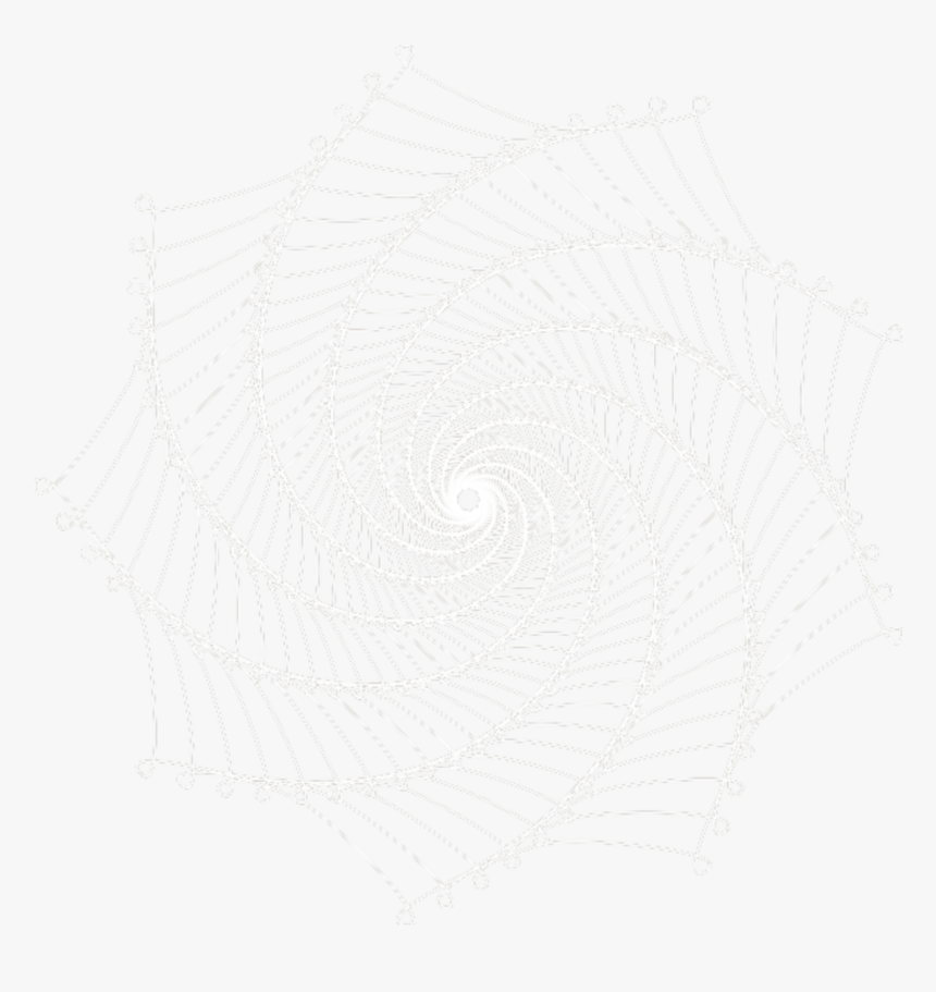 #freetoedit #spider Web - Spider Web, HD Png Download