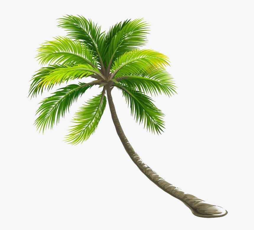 Coconut Tree Png File - Transparent Coconut Tree Png, Png Download