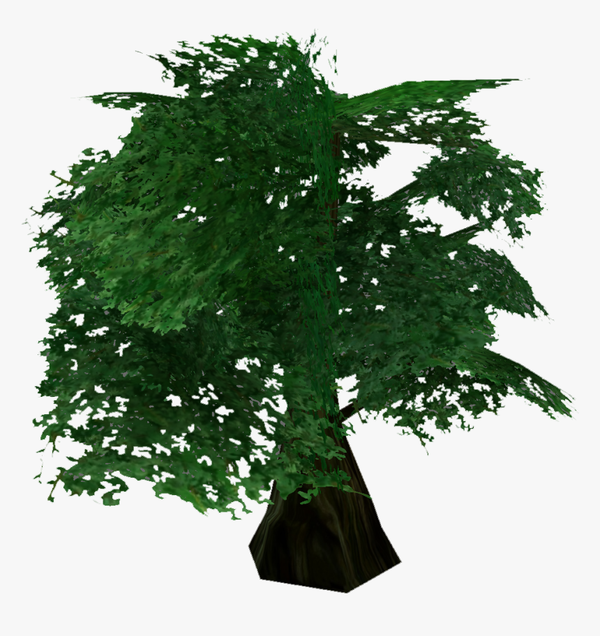 New Mexico Maple, HD Png Download