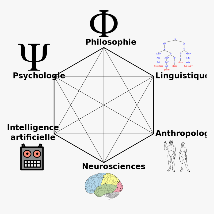 Cognitive Science, HD Png Download