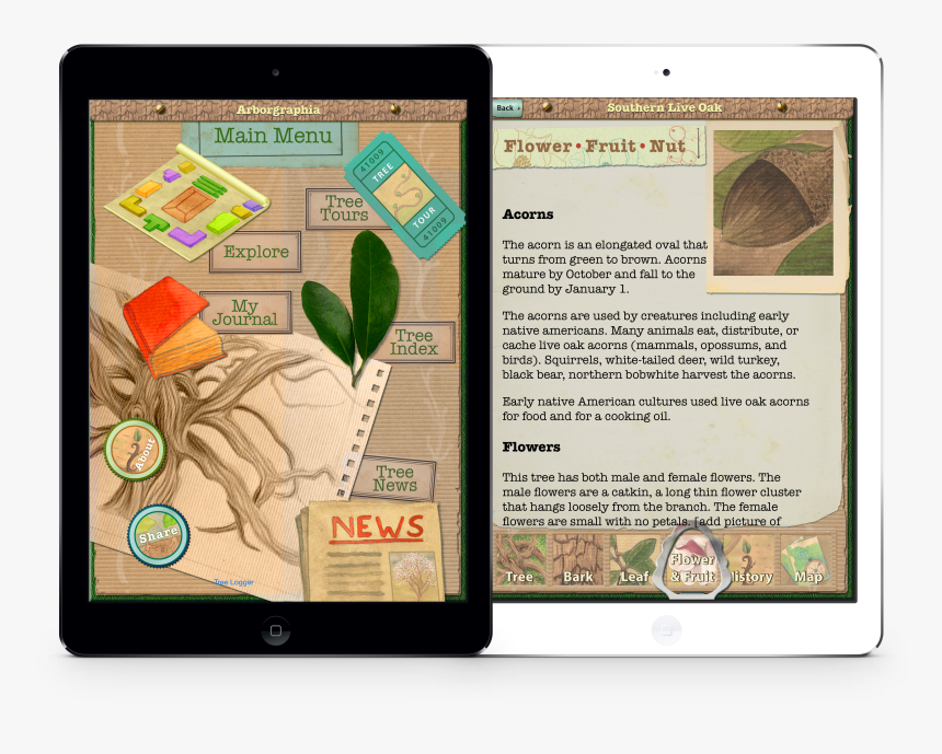 Tablet Computer, HD Png Download