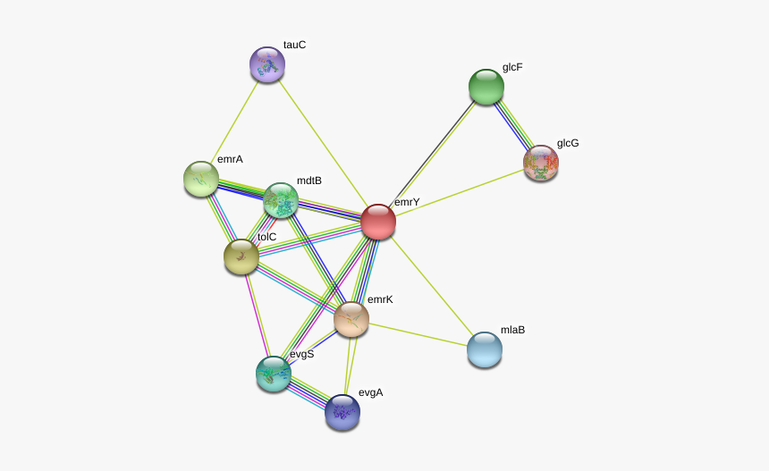 Emry Protein - Circle, HD Png Download