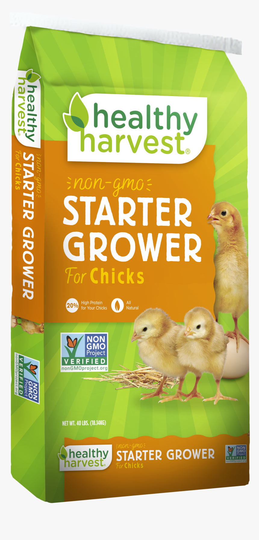 Chicken, HD Png Download