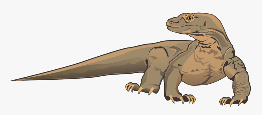 Komodo Dragon Transparent Background - Komodo Dragon Clipart, HD Png Download