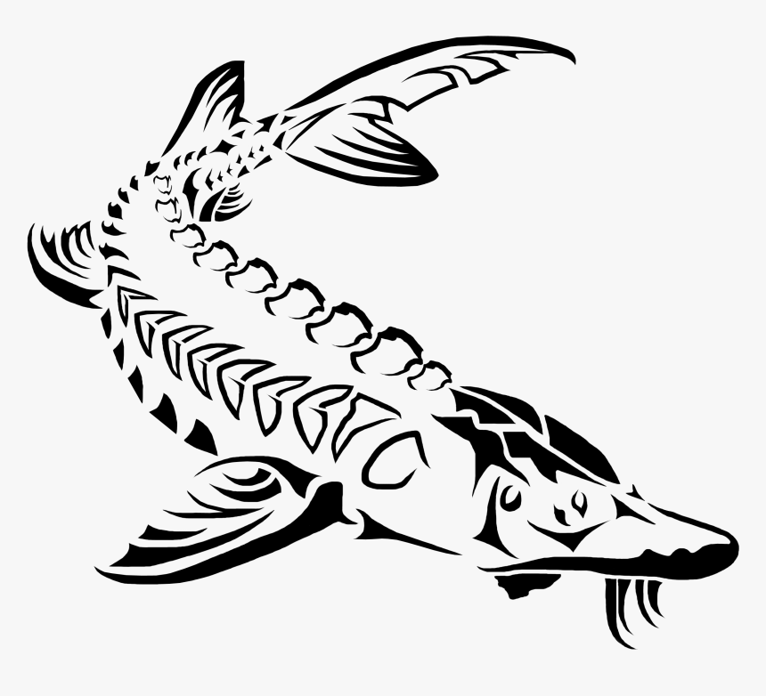 Sturgeon Drawing Transparent Png Clipart Free Download - Sturgeon Clipart, Png Download