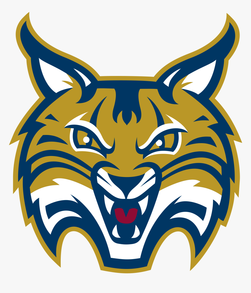Quinnipiac University Athletics Logo, HD Png Download
