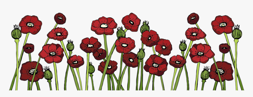 Poppy, HD Png Download