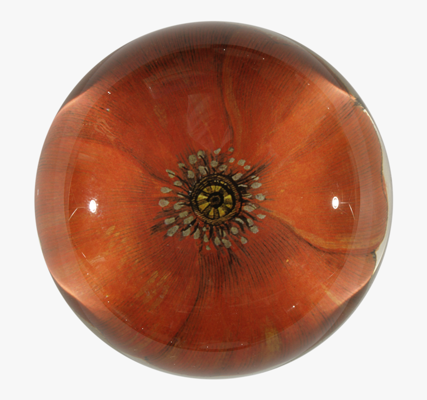 Amber, HD Png Download