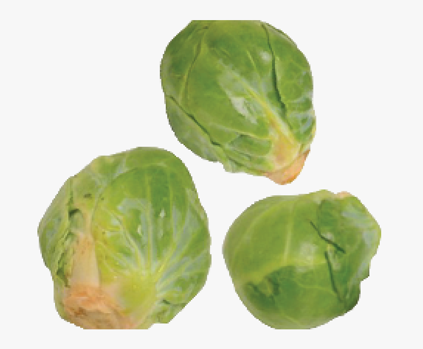 Brussels Sprout, HD Png Download