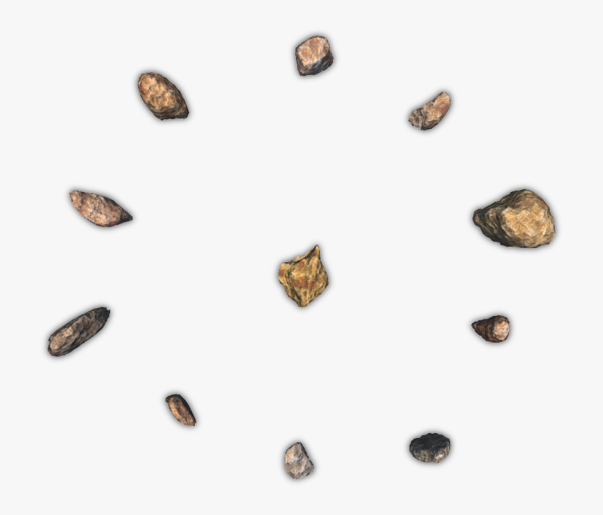 Molluscs, HD Png Download