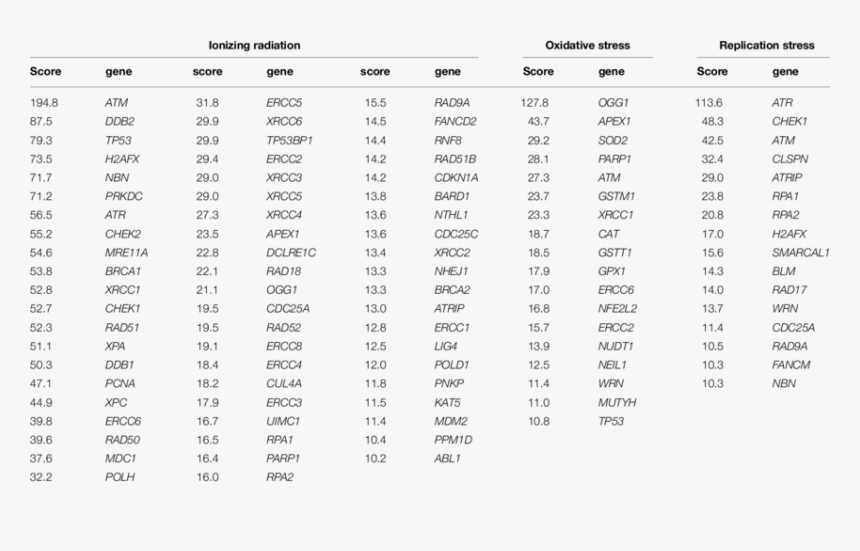 Steel China Production Statistics, HD Png Download