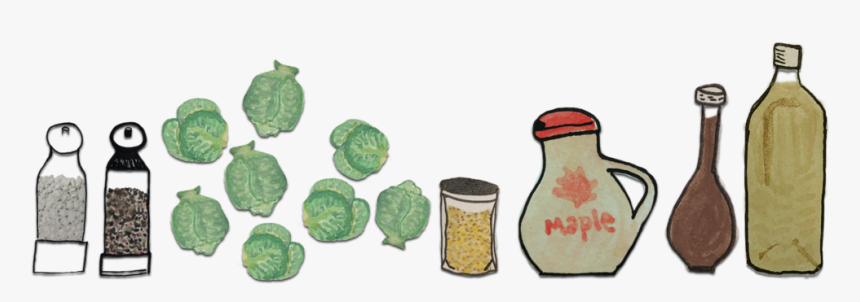 Tortoise, HD Png Download