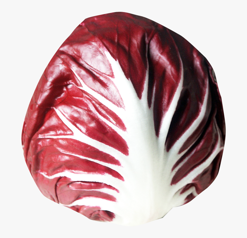 Radicchio Png, Transparent Png