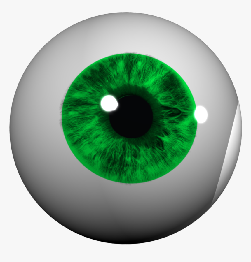 Circle, HD Png Download