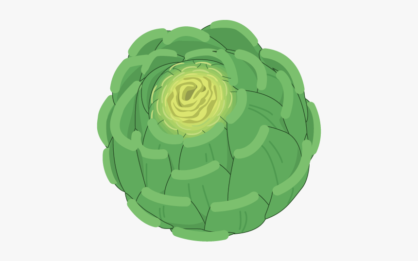 Cabbage Clip Art - Artichoke, HD Png Download