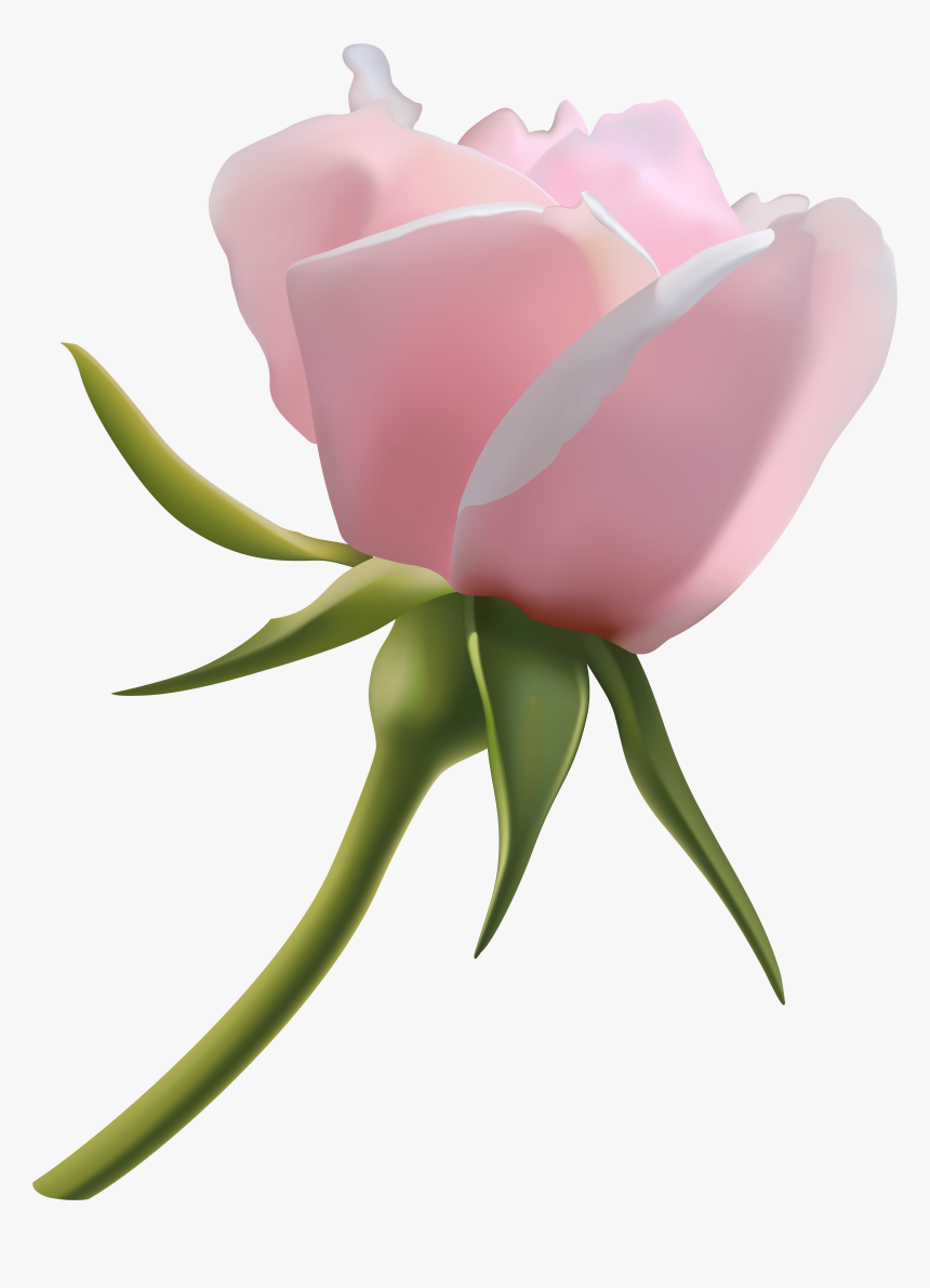 Beautiful Pink Rose Bud Png Clipart Image, Transparent Png