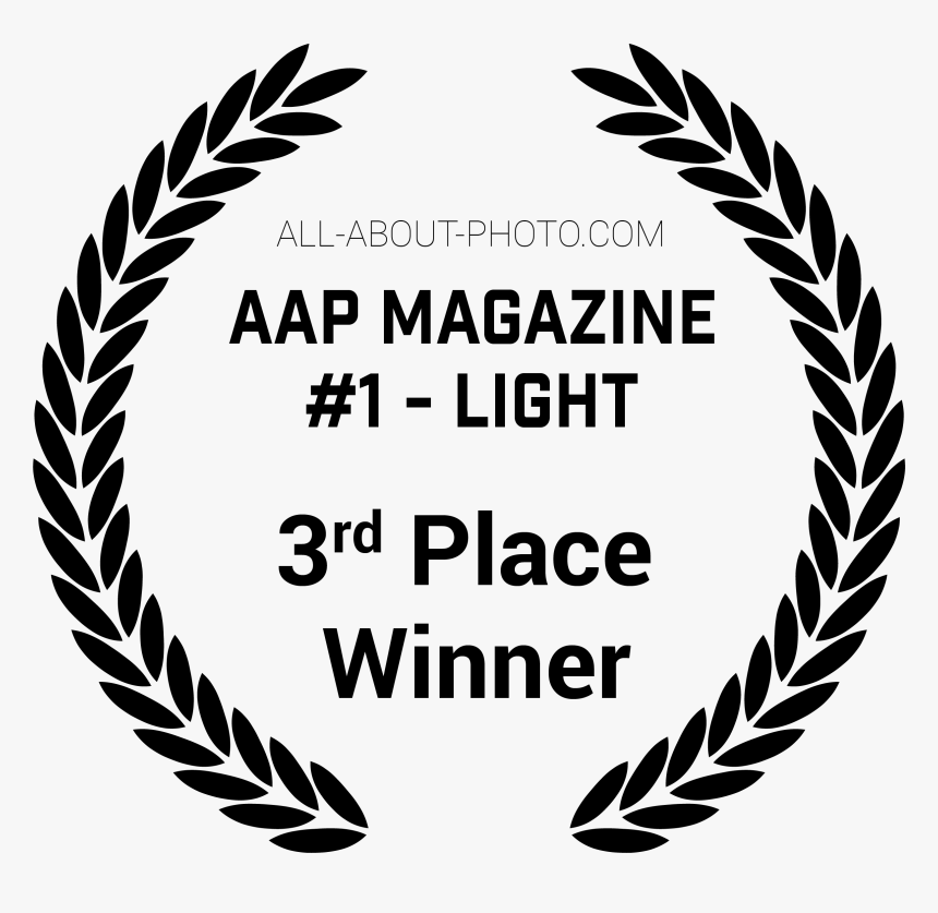 Transparent Many Hands Make Light Work Clipart - Hojas De Olivo Png, Png Download