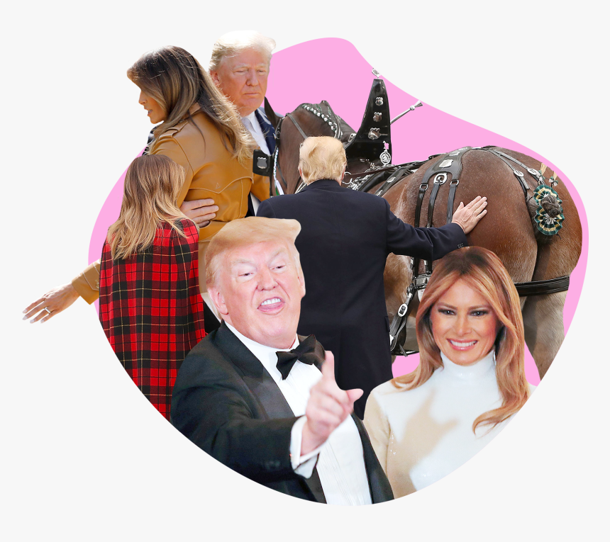 Photo Illustration Of Melania And Donald Trump - Fun, HD Png Download