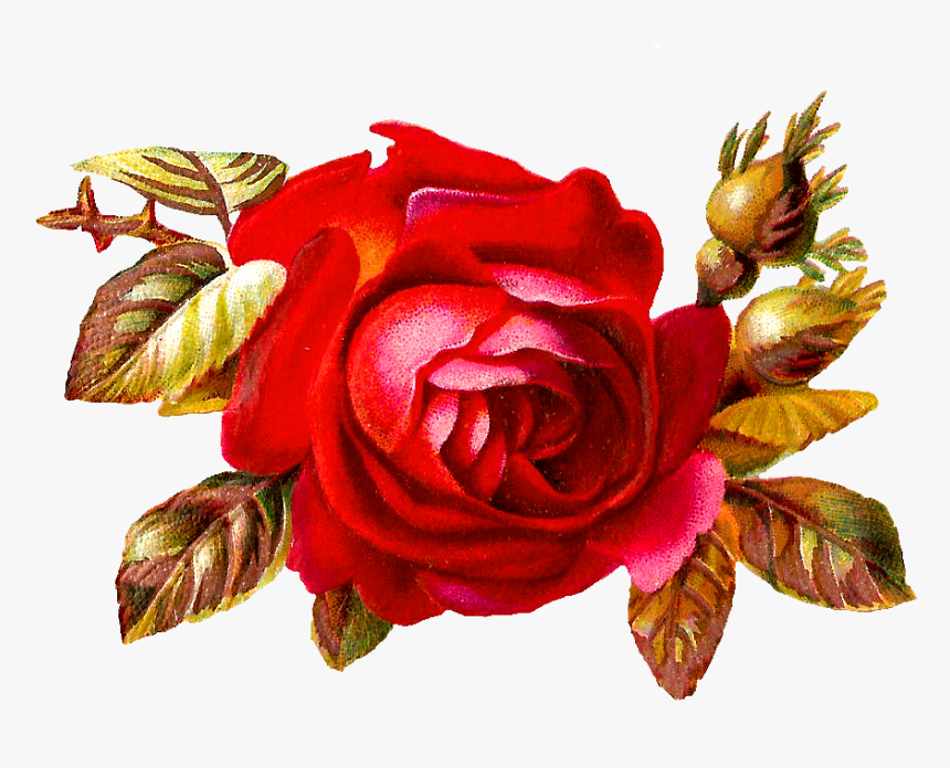 8 Png, H/2609764918 - Clip Art, Transparent Png