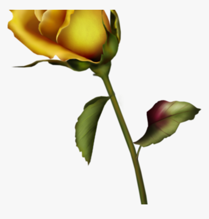 Yellow Rose Clipart Yellow Rose Bud Clip Art Gallery - Single Yellow Rose Vector, HD Png Download