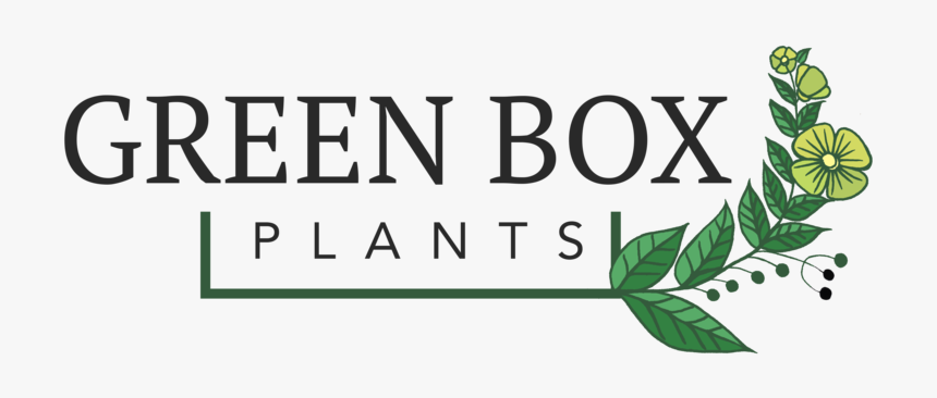 Green Box Plants - Nokia X6 Black Black, HD Png Download