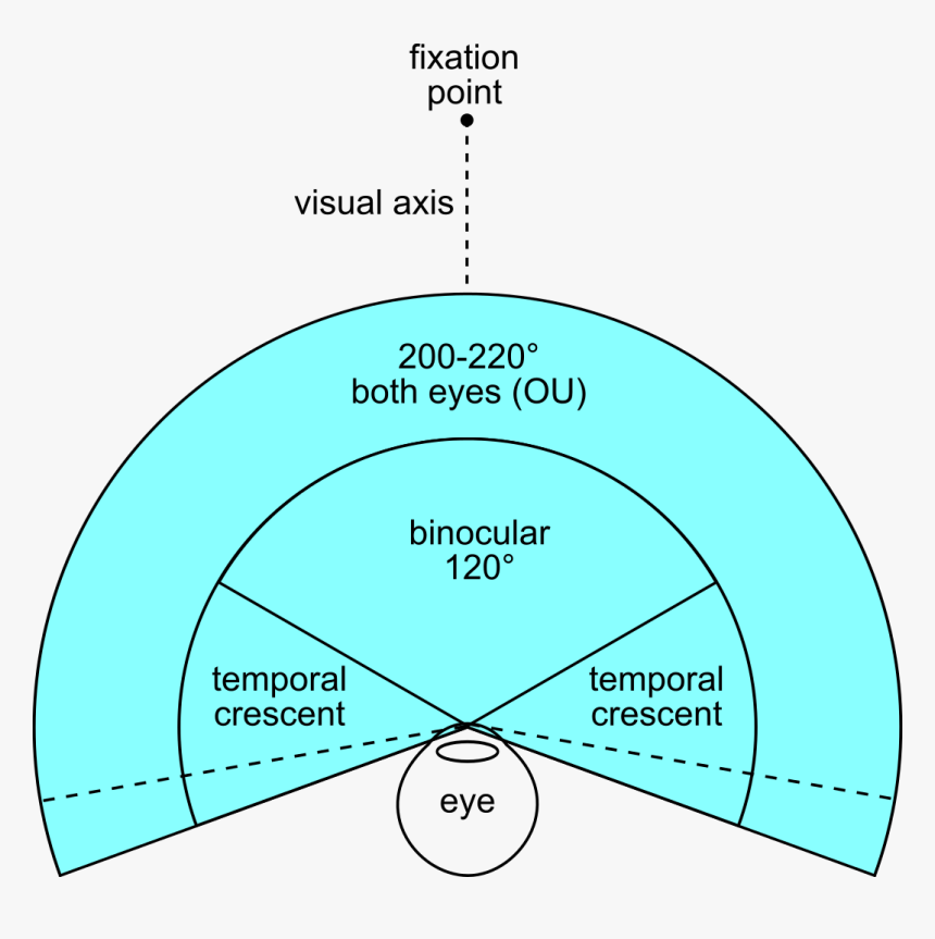 Human Binocular Field Of View, HD Png Download