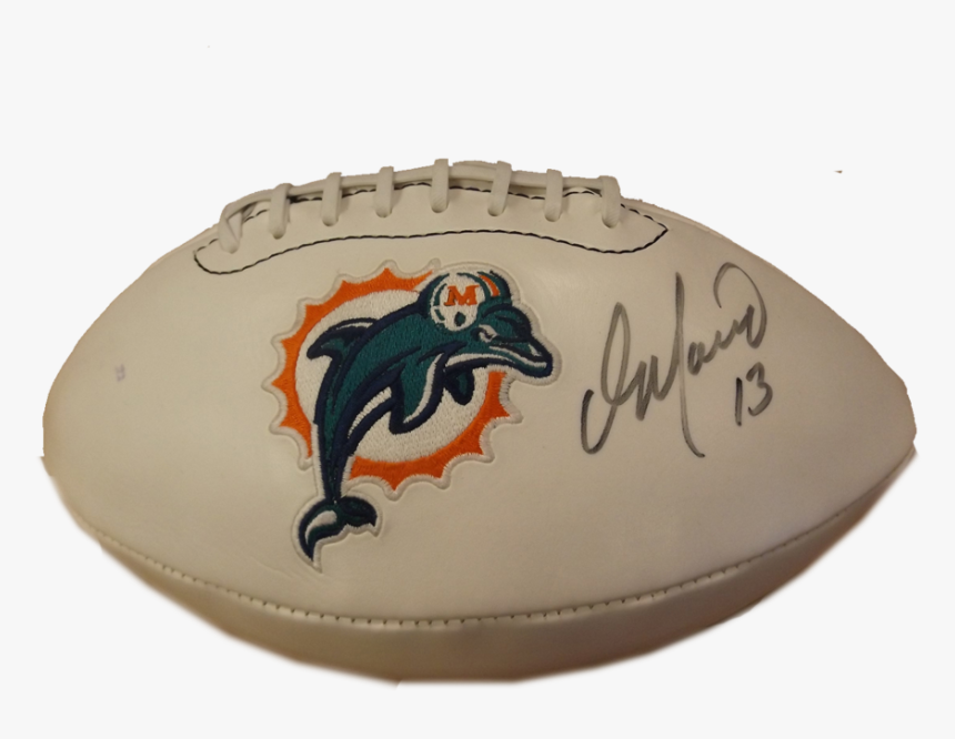 Dan Marino - Lizard, HD Png Download