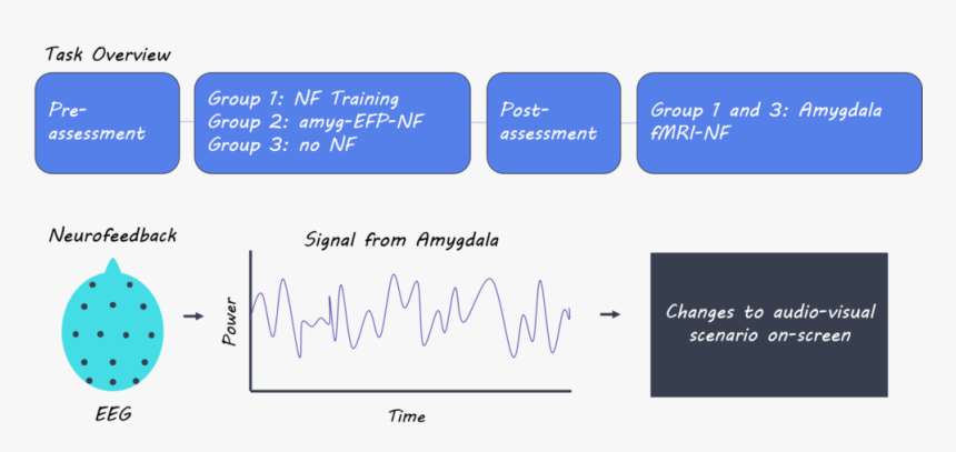 Stephanie Dec18, HD Png Download