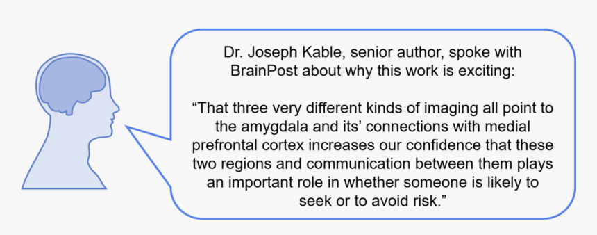 Kable - Brain Clip Art, HD Png Download