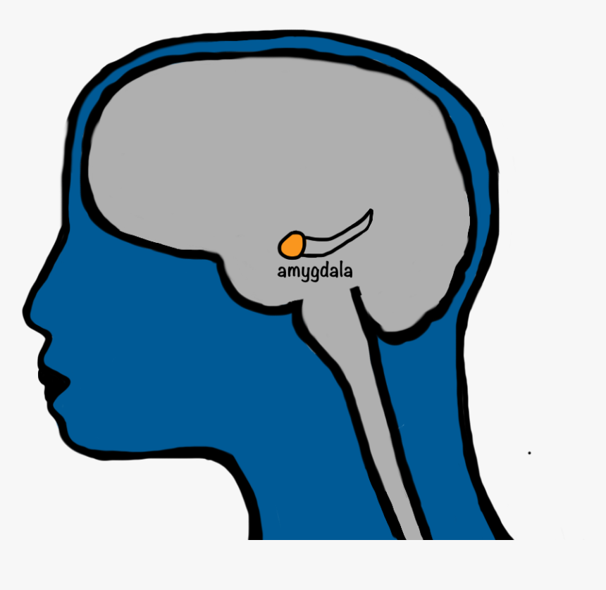 Clip Art, HD Png Download