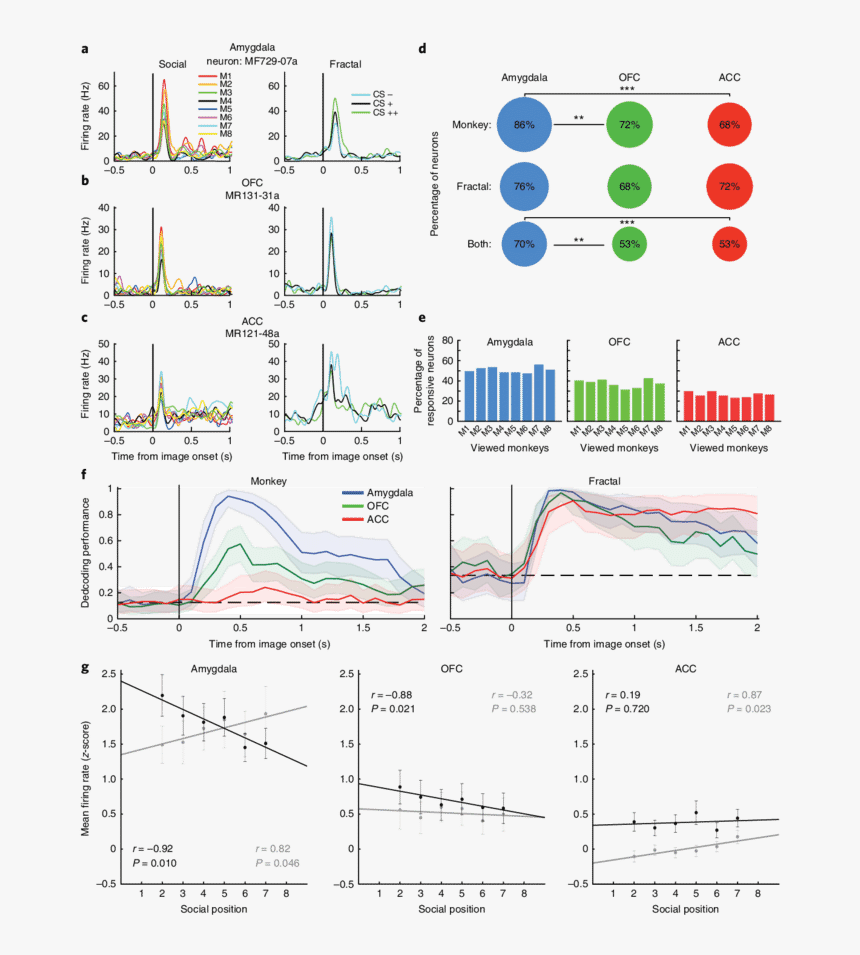 Diagram, HD Png Download