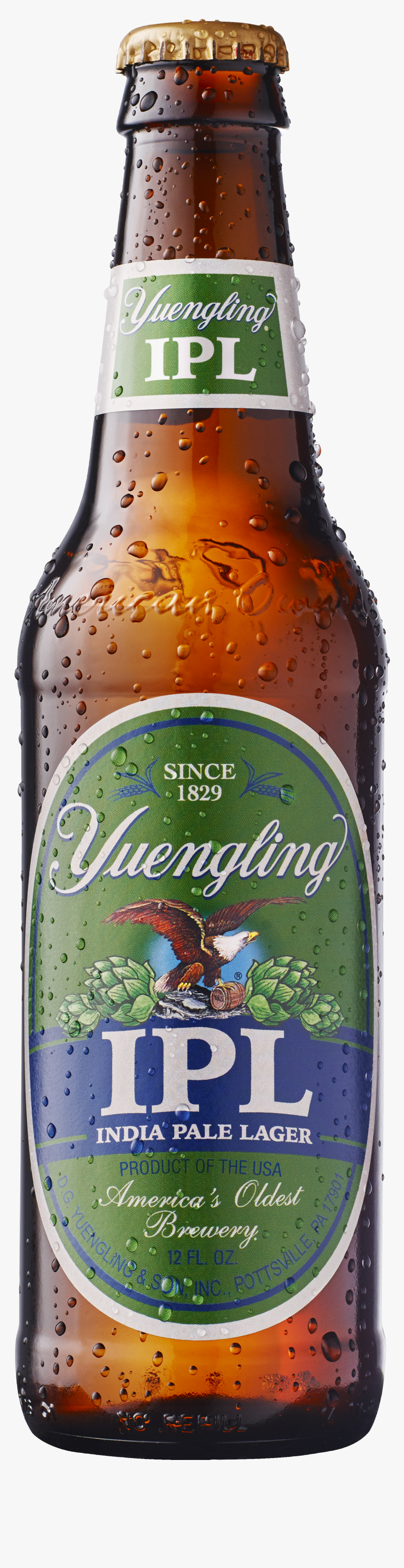 Yuengling Porter (dark Brewed) - Yuengling Brewery, HD Png Download