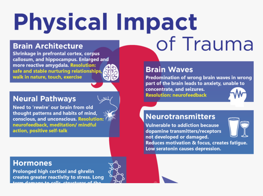 Impact Of Trauma On Body, HD Png Download , Transparent Png Image PNGitem