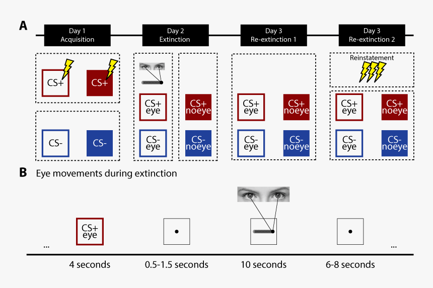 Number, HD Png Download