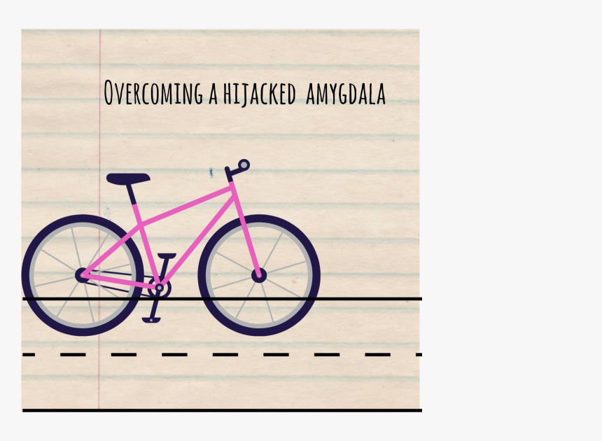Road Bicycle, HD Png Download