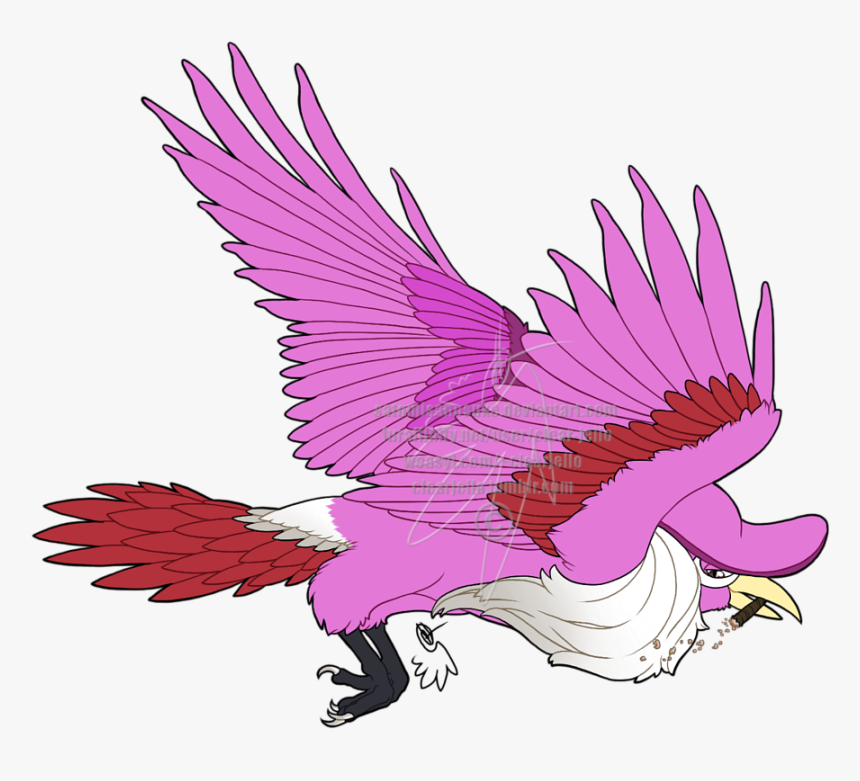 Bird Of Prey, HD Png Download