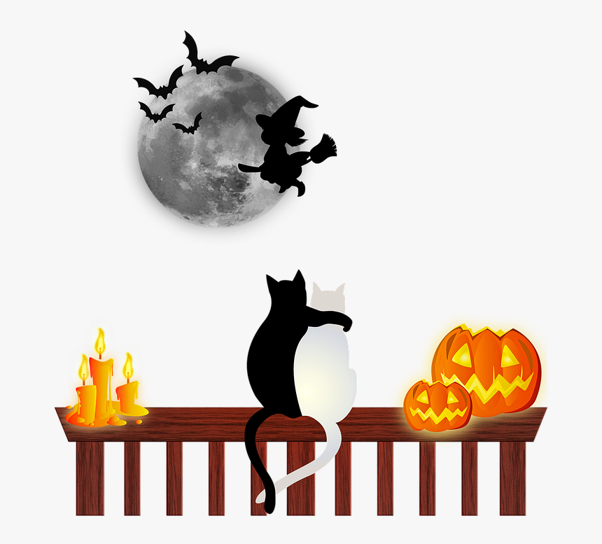 Cerca De Natal Png, Transparent Png