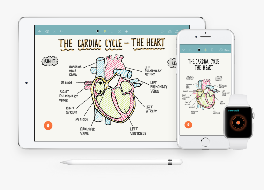 Electronics, HD Png Download