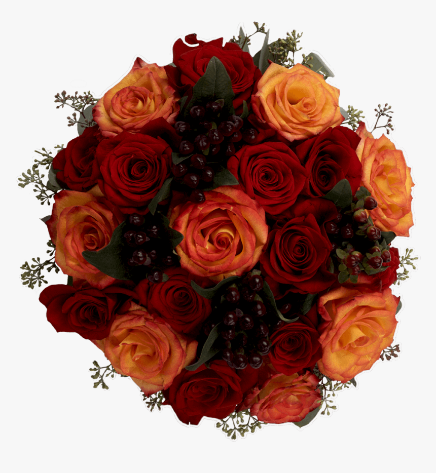 Floribunda, HD Png Download