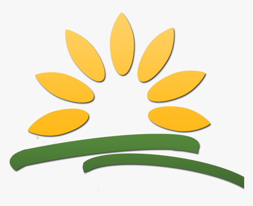 Let S Not Try Finding Nemo Let S Try Finding Funds, HD Png Download