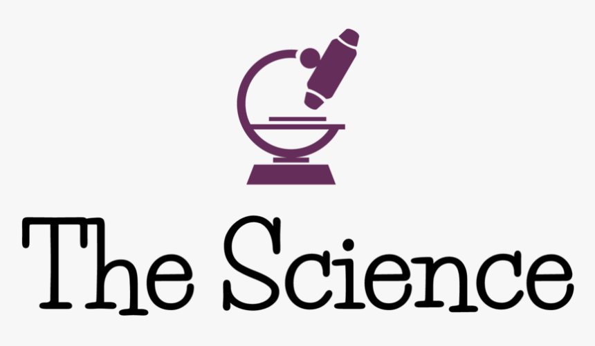 Calligraphy, HD Png Download