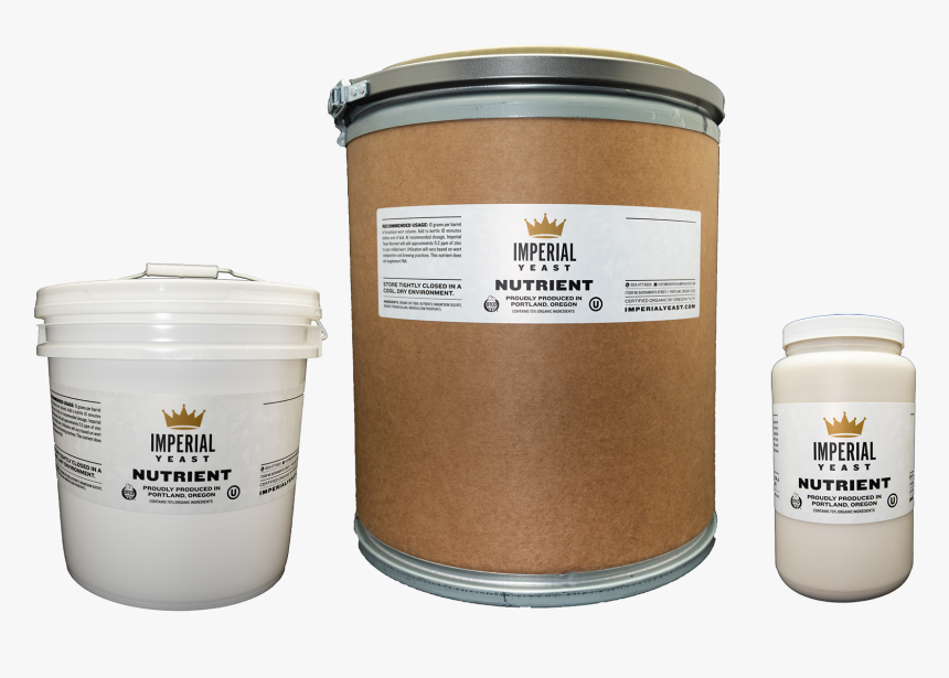 Bee, HD Png Download