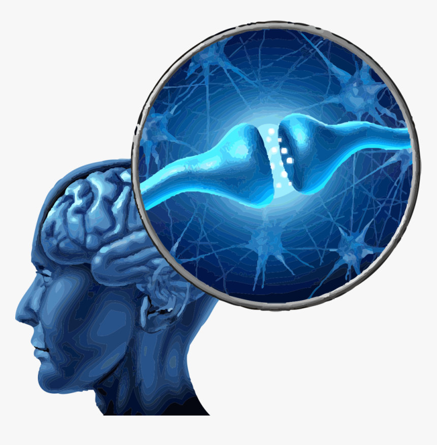 Librede Ecs, HD Png Download