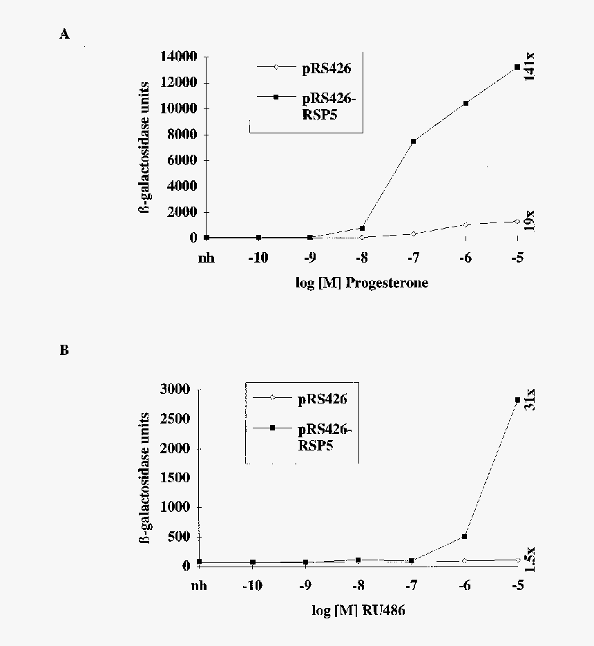 Yeast Png, Transparent Png