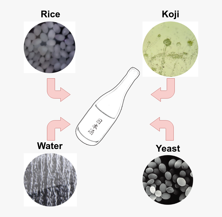 So Rice, Water, Koji And Special Sake Yeast Are Fab, HD Png Download