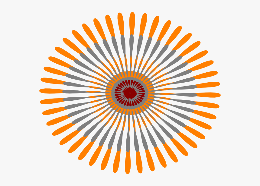 Star Flower Orange Svg Clip Arts - 25 Seconds Timer, HD Png Download